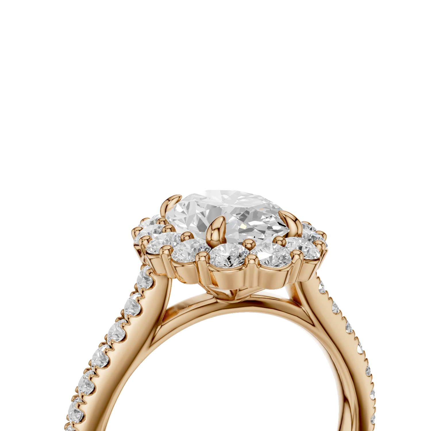 PANDORA - Halo Ring Oval - Lab Grown - Darbin Jewelry